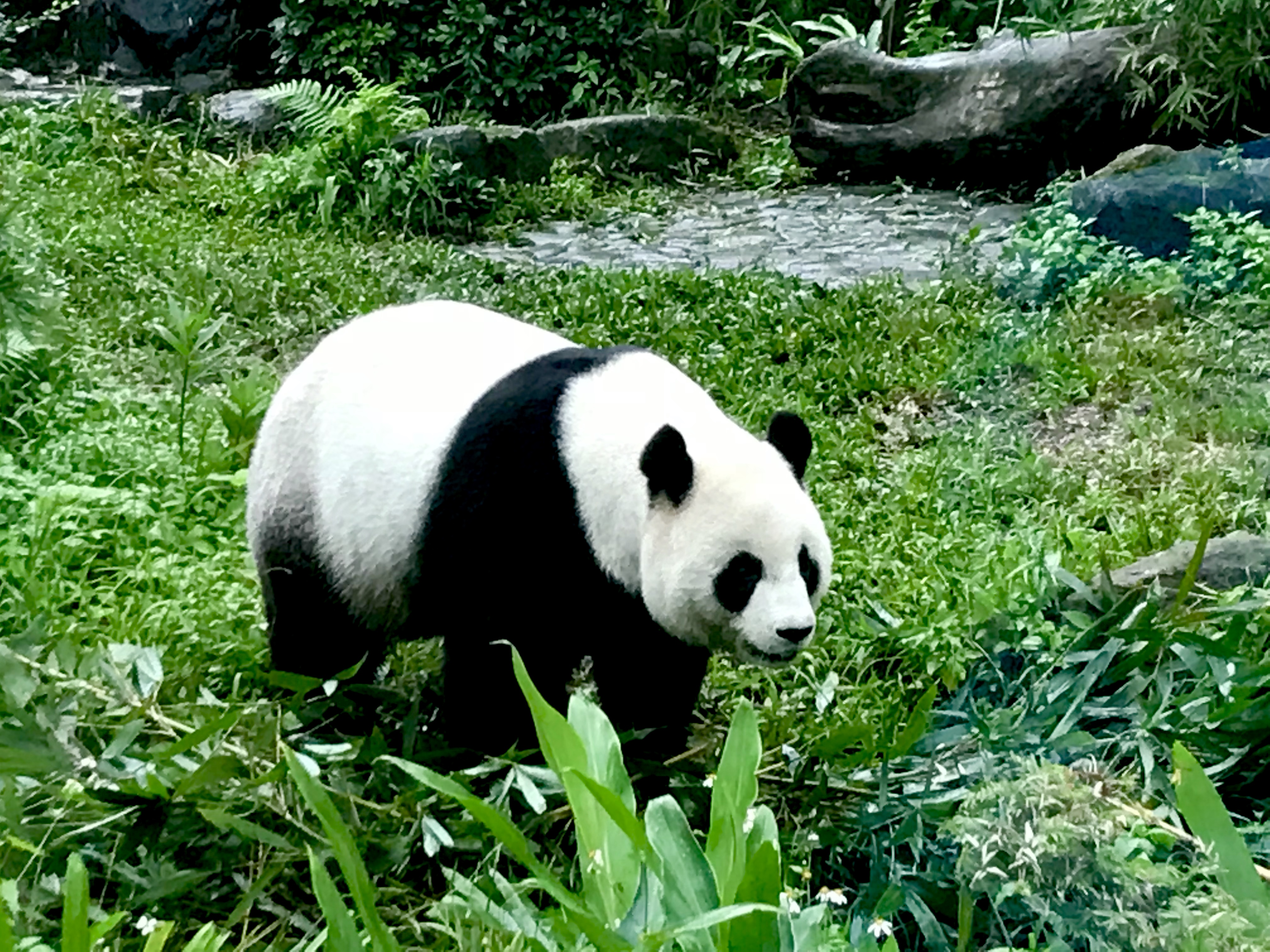 bdfee685-2baf-463a-bbca-005645836f30